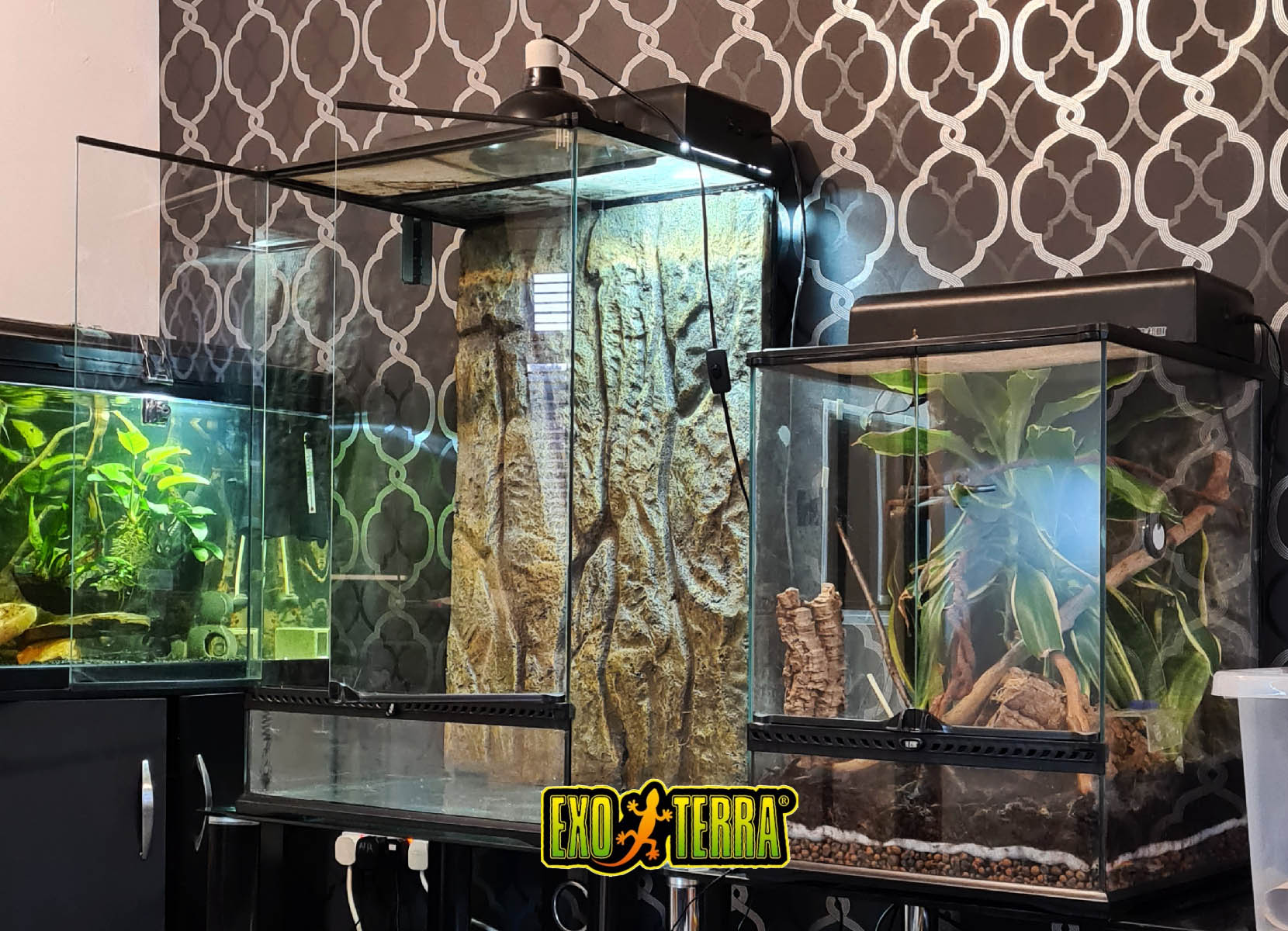 Large ExoTerra Reptile Terrarium 90 x 60 x 45 setup UK